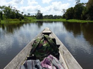 Rainforest Plant Medicine Store - Shaman Snuffs, Rapé, Sananga, Ayahuasca & More