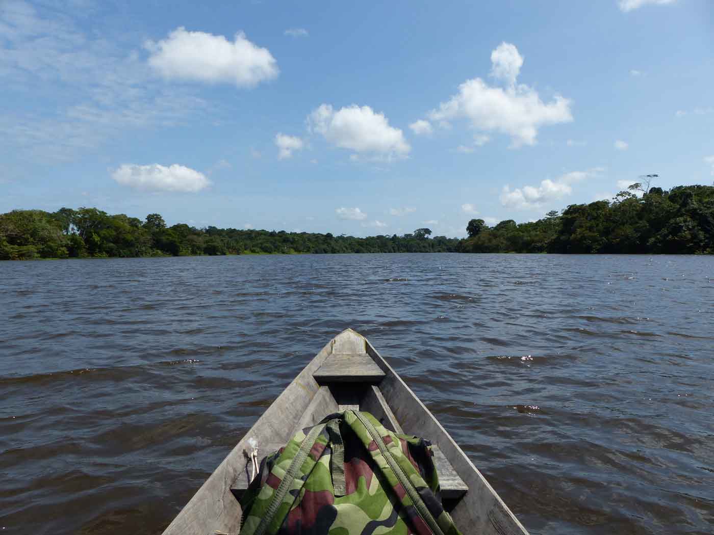 The Importance of the Indian Culture for Brazil - Queen of the Forest