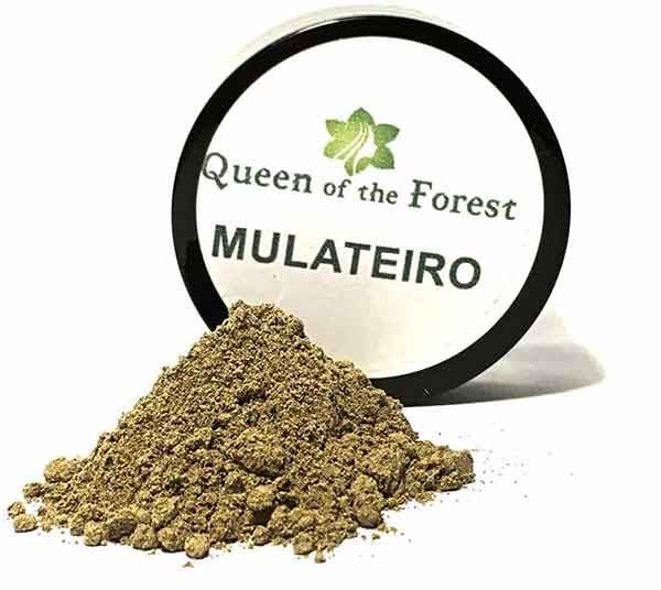 Mulateiro Rapeh Snuff - A Strong and Rejuvenating Rapeh BlendRainforest Plant Medicine Store - Shaman Snuffs, Rapé, queen of the forest sacred tobacco snuff indigenous