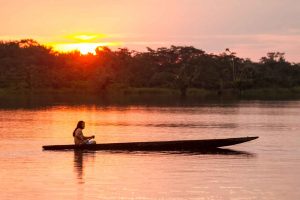 Rainforest Plant Medicine Store - Shaman Snuffs, Rapé, Sananga, Ayahuasca & More
