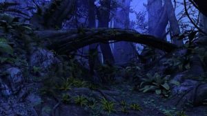 amazon night Rainforest Plant Medicine Store - Shaman Snuffs, Rapé, Sananga, Ayahuasca & More.era's products natural herbal cologne spray queen of the forest sacred tobacco snuff indigenous rapé rhape hape plant medicine aya ceremony shaman
