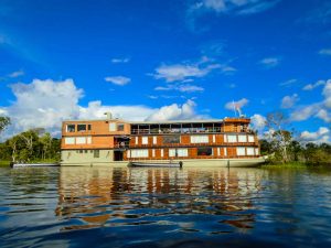 Rainforest Plant Medicine Store - Shaman Snuffs, Rapé, Sananga, Ayahuasca & More