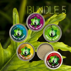 Queen of the Forest Rapé Sampler (5pack) sacred indigenous tobacco snuff rapé hape rhape healing plant medicine