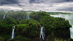 Economical Empowerment of Rainforest People.queen of the forest amazon sacred space plant medicine aya tobacco snuff