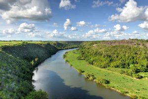 river bank in the amazon rainforest queen of the forest amazonia nature protect the forest