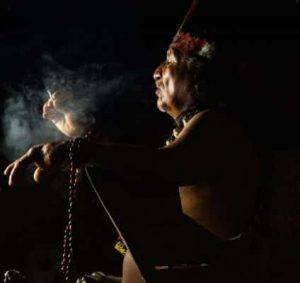 Awaken The Shaman Bundle.queen of the forest chief ceremony indigenous sacred tobacco snuff rapé rhape plant medicine healing