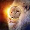 Leo Solar Eclipse Medicine Bundle queen of the forest sacred tobaaco snuff indigenous shaman rapé Rhape plant medicine