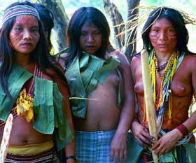 tribal women indigenous women people of the forest queen of the forest tribes plant medicine