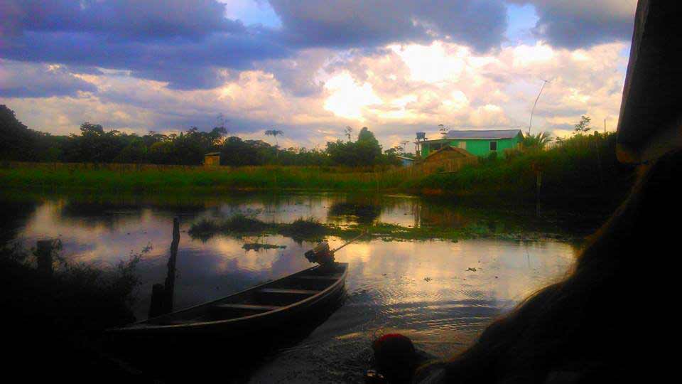 beauty of the forest queen of the forest amazon amazonia canoe floresta Amazon River