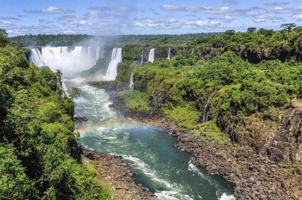forest waterfall queen of the forest amazon amazonia protect the rainforest