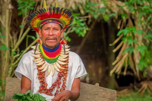 what is shamanism queen of the forest wisdom amazon plant medicine wisdom of the elders