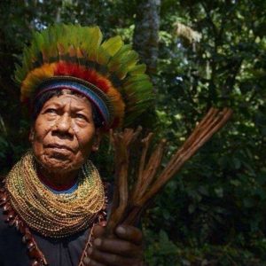 Amazon Elder idigenous queen of the forest jungle plant medicine