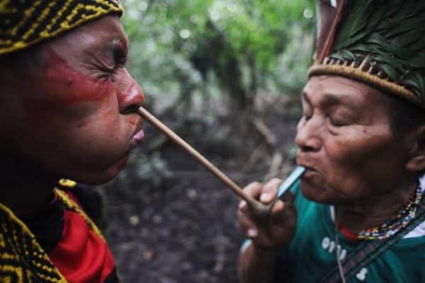 admintering rhape with tepi queen of the forest rapé ceremony plant medicine