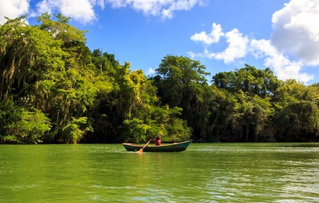 canoe river queen of the forest jungle viva la floresta beautiful day