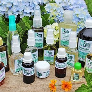 vera's natural products queen of the forest wellness products from the amazon herbal sel-care