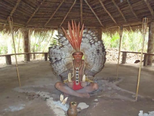 Haru Kuntanwawa queen of the forest protect the rainforest indigenous plant medicine