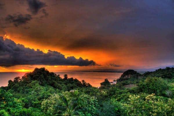 amazon rainforest red sky jungle queen of the forest plant medicine aya