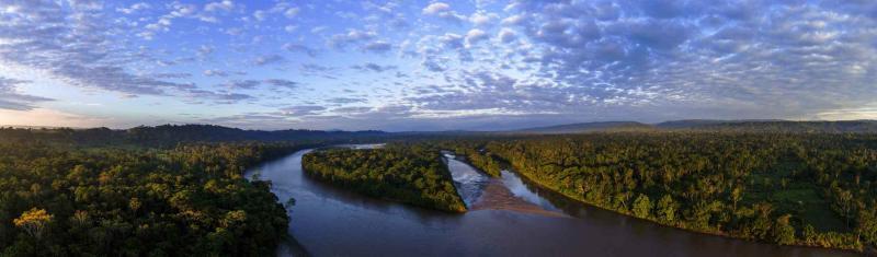 amazon queen of the forest save the forest rainforest jungle