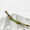 Tepi Snuff Applicator Rhape tool, rapé Queen of the Forest, Shaman tools, Ceremony, Snuff applicator