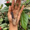 snuff applicator, rapé applicator, kuripe, leather, leather-kuripe, rhape tool, rapé, queen of the forest sacred indigenous tobacco snuff, shaman
