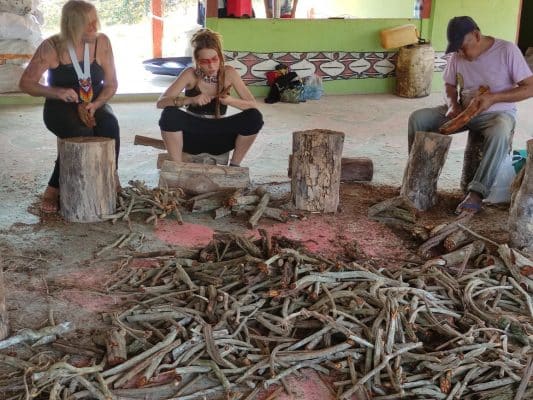 jagube, vine, aya, ceremony, queen of the forest