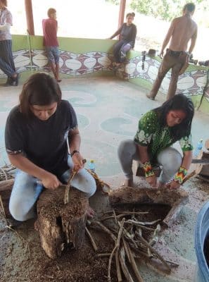 jagube, vine, aya, ceremony, queen of the forest