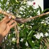 Handmade Wooden Tepi 2 Handmade Wooden Tepi Tepri, Queen of the Forest, Snuff Applicator, Rhape, Rapé applicator