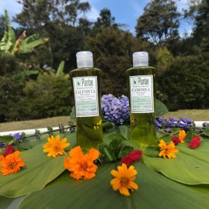 Calendula Massage Oil - Image 3