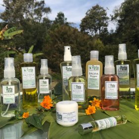 LINHAPLANTAE Calendula Massage Oil