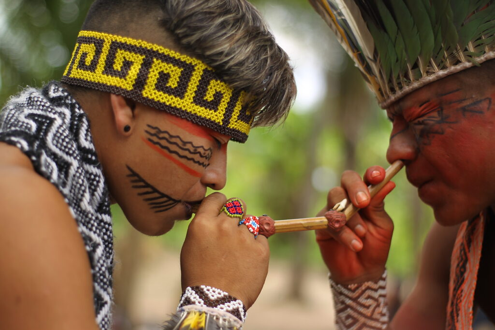 The Sacred Rapeh Ceremony: Tradition, Ritual &Amp; Healing 2 The Sacred Rapeh Ceremony: Tradition, Ritual &Amp; Healing Traditional rapeh ceremony preparation with sacred Amazonian plants