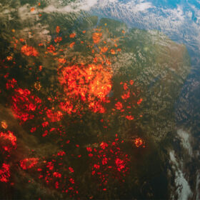 AdobeStock 286363294 wordpress Climate Change and Natural Phenomena: The Earth's Song and the Call of the Forest