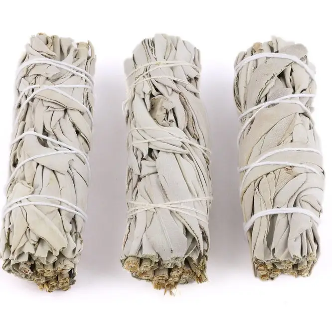 California White Sage - 4&Quot; Wand 4 California White Sage - 4&Quot; Wand California White Sage - 4" Wand - Image 2