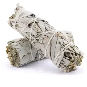 California White Sage - 4&Quot; Wand 10 California White Sage - 4&Quot; Wand California White Sage - 4" Wand - Image 4