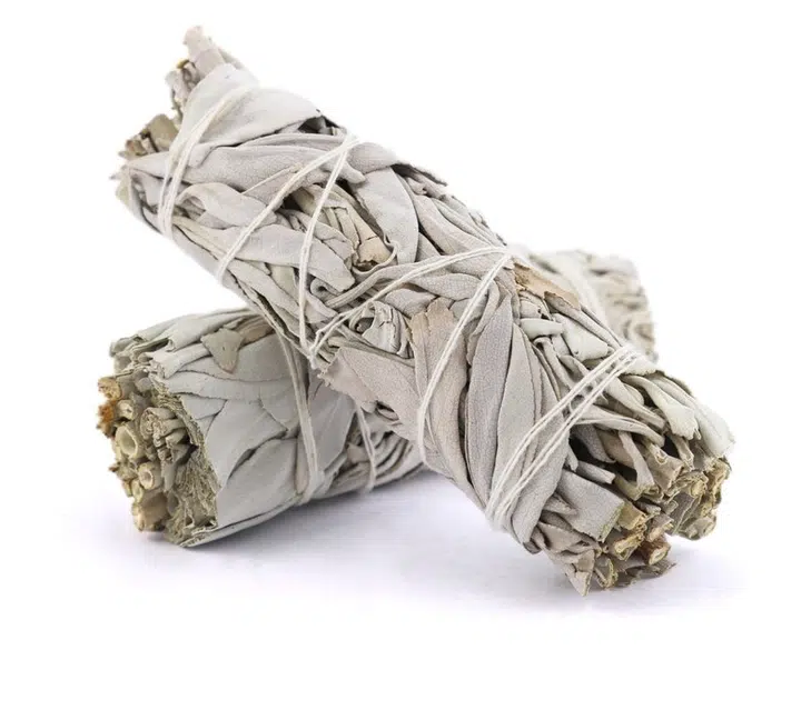 California White Sage - 4&Quot; Wand 6 California White Sage - 4&Quot; Wand California White Sage - 4" Wand - Image 4