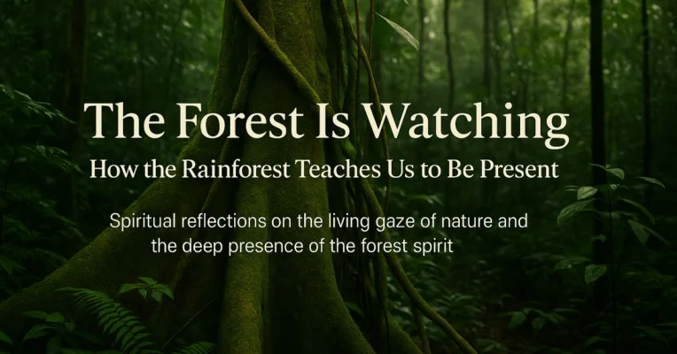 the forest is watching tam hori The Forest Is Watching: How the Rainforest Teaches Us to Be Present