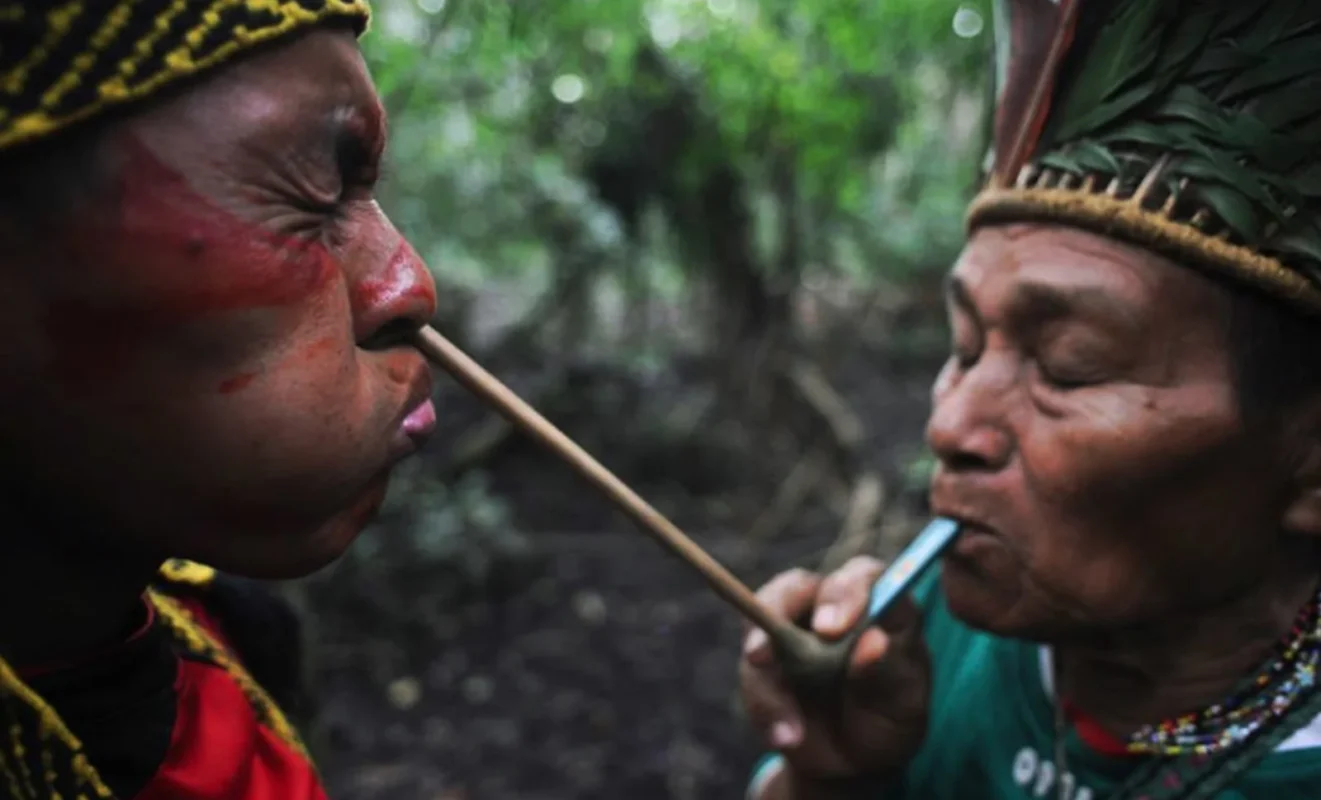 The Benefits Of Sacred Snuff: Exploring The Uses Of Hapé In Traditional Ceremonies 3 The Benefits Of Sacred Snuff: Exploring The Uses Of Hapé In Traditional Ceremonies Screenshot 2022 12 05 at 3.28.06 PM The Benefits of Sacred Snuff: Exploring the Uses of Hapé in Traditional Ceremonies