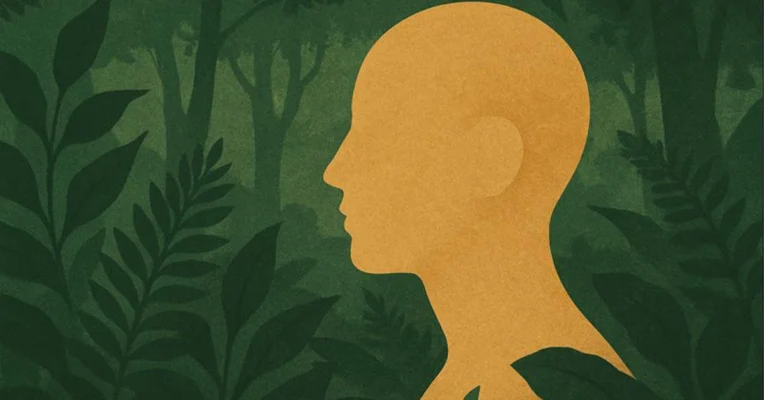listening with the skin sensory awareness nature touch
