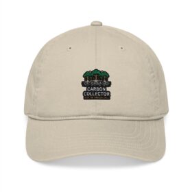 1190649850294996458 2048 Carbon Collector Embroidered Dad Hat