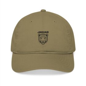 4885670274828735373 2048 Jaguar Spirit Embroidered Dad Hat