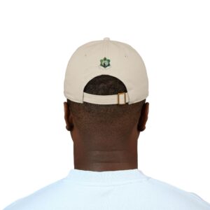 Carbon Collector Embroidered Dad Hat - Image 4