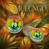Mulungu Rapéh tin from Queen of the Forest – Amazonian botanical blend