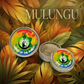 Mulungu Rapéh tin from Queen of the Forest – Amazonian botanical blend