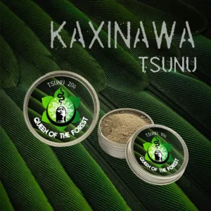 Kaxinawa Tsunu rapé tins from Chief Assis's village, Aldeia Pinuyá – Queen of the Forest sacred Amazonian snuff