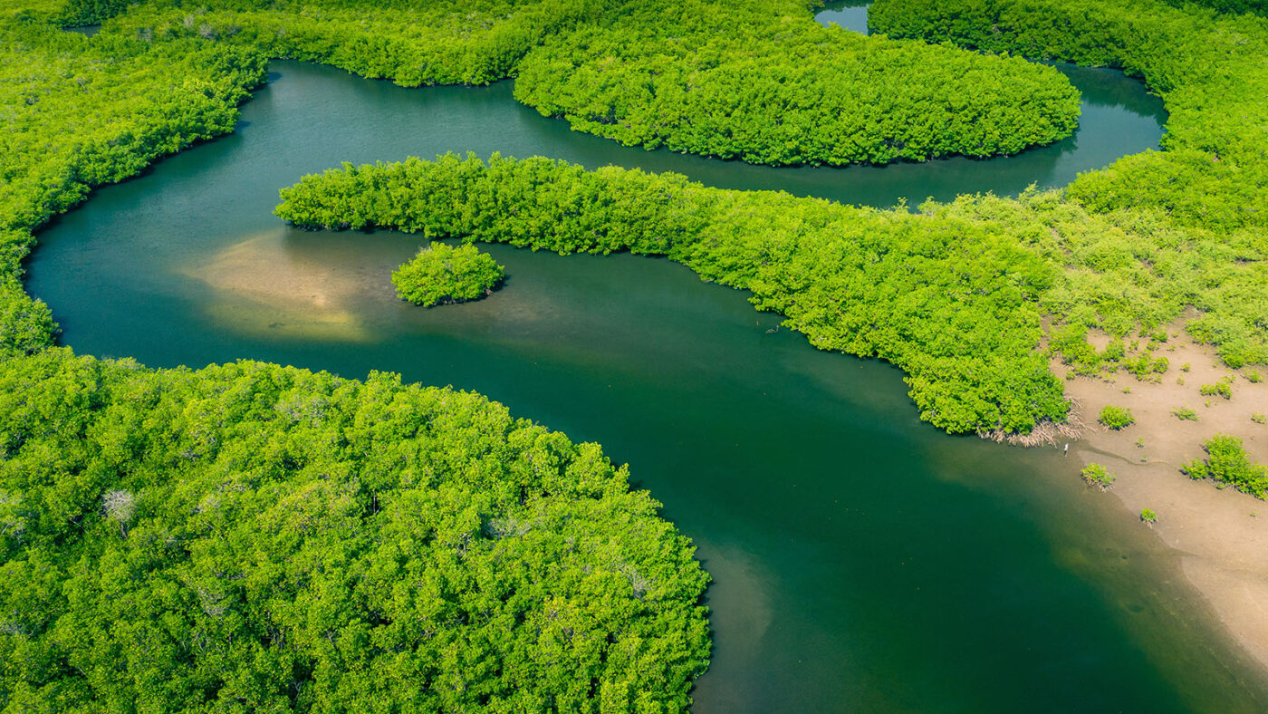 Aerial view of the Amazon rainforest in Brazil with a river winding through dense green canopy