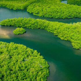 Aerial view of the Amazon rainforest in Brazil with a river winding through dense green canopy