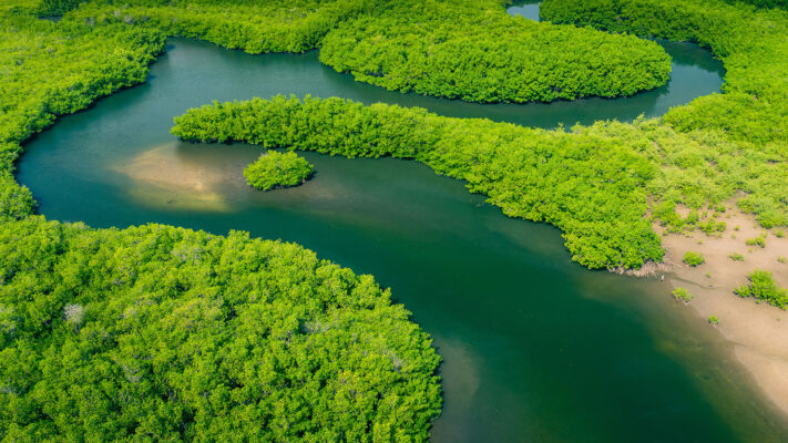 Aerial view of the Amazon rainforest in Brazil with a river winding through dense green canopy