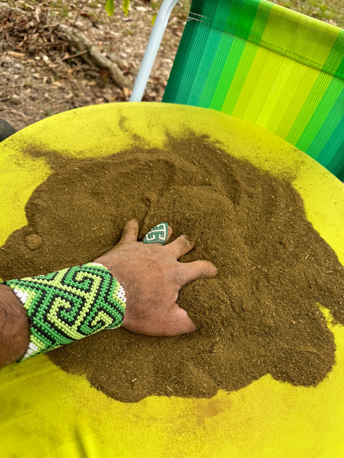 Fresh Kaxinawá rapé powder being prepared by hand in the village